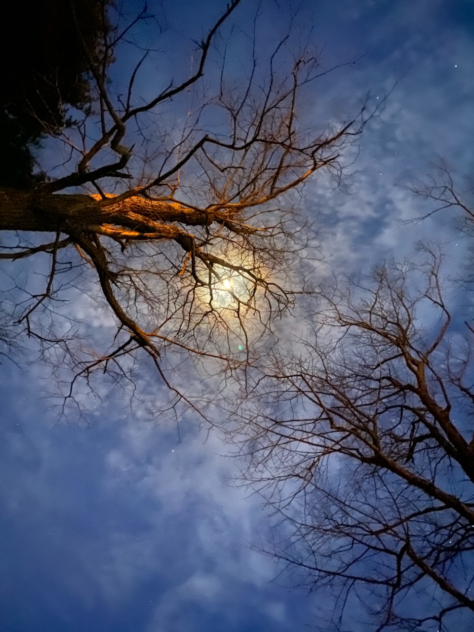 Moon